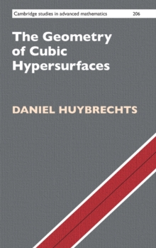 Image for The Geometry of Cubic Hypersurfaces