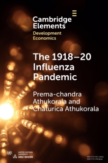 Image for The 1918–20 Influenza Pandemic