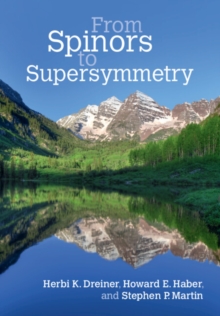Image for From Spinors to Supersymmetry