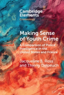 Image for Making Sense of Youth Crime
