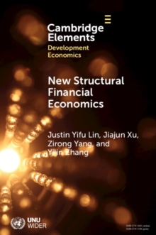 Image for New Structural Financial Economics