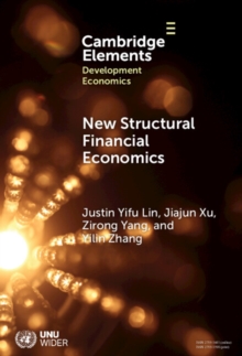 Image for New structural financial economics: a framework for rethinking the role of finance in serving the real economy
