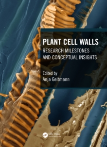 Image for Plant Cell Walls