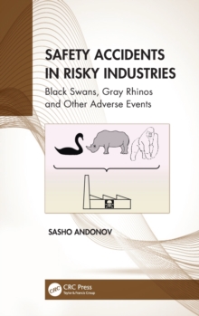 Image for Safety Accidents in Risky Industries