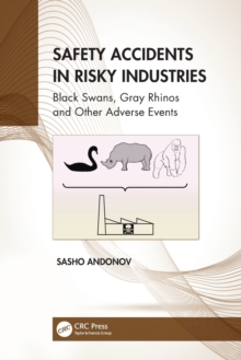 Image for Safety Accidents in Risky Industries