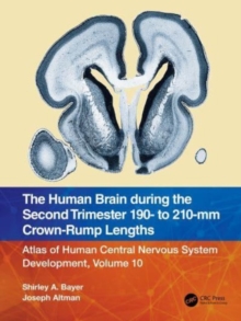 Image for The Human Brain during the Second Trimester 190– to 210–mm Crown-Rump Lengths