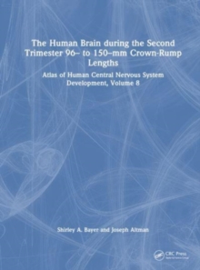 Image for The Human Brain during the Second Trimester 96– to 150–mm Crown-Rump Lengths