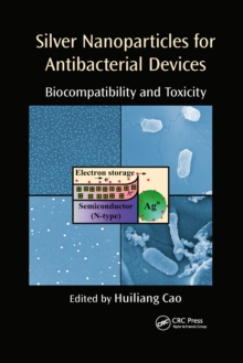 Image for Silver Nanoparticles for Antibacterial Devices