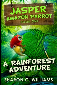 Image for A Rainforest Adventure : Large Print Edition
