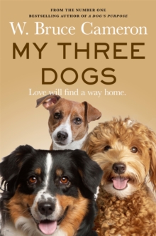 Image for My Three Dogs