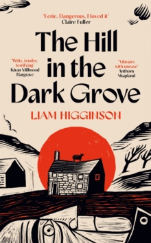 The Hill in the Dark Grove - Higginson, Liam