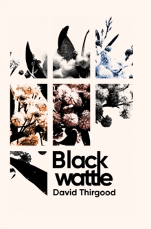 Image for Blackwattle