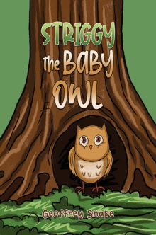 Image for Striggy the Baby Owl
