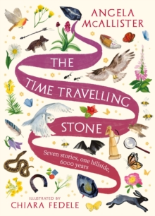 Image for The Time Travelling Stone: Seven Stories, One Hillside, 6000 Years