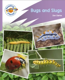 Image for Reading Planet: Rocket Phonics - First Steps - Bugs and Slugs (Lilac Plus)