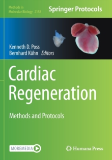 Image for Cardiac Regeneration