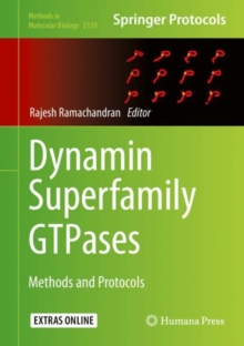 Image for Dynamin Superfamily GTPases