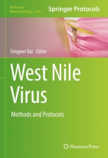 Image for West Nile virus  : methods and protocols