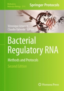 Image for Bacterial regulatory RNA  : methods and protocols