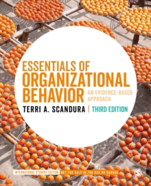 Essentials of Organizational Behavior – International Student Edition: An Evidence-Based Approach