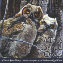 Image for A Tale of Horned Owls