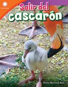 Image for Salir del cascaron