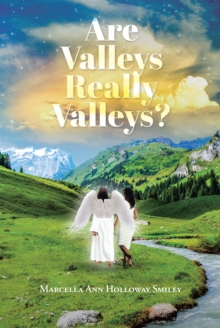 Image for Are Valleys Really Valleys?