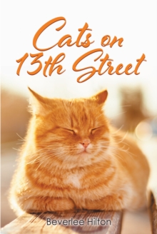 Image for Cats on 13th Street