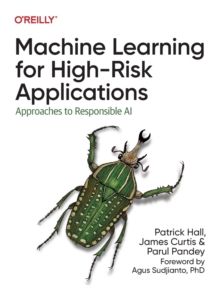 Image for Machine learning for high-risk applications  : approaches to responsible AI