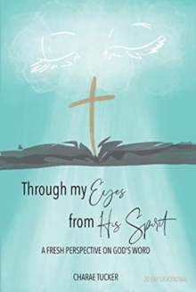 Through My Eyes from His Spirit