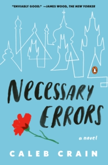 Image for Necessary Errors: A Novel