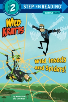 Image for Wild insects and spiders!