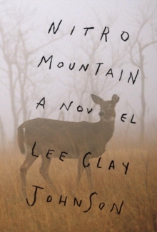 Image for Nitro Mountain  : a novel