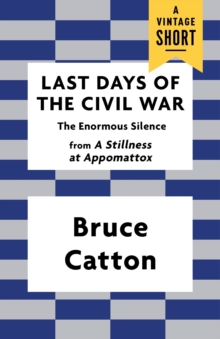 Image for Last Days of the Civil War: The Enormous Silence