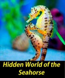 Image for Hidden World of the Seahorse
