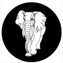 Image for White Elephants
