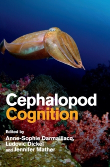 Image for Cephalopod Cognition