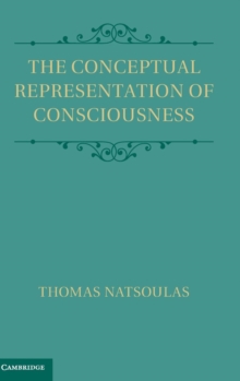Conceptual Representation of Consciousness