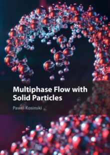 Image for Multiphase flow with solid particles