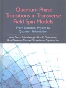 Quantum Phase Transitions in Transverse Field Spin Models
