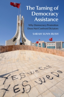 Taming of Democracy Assistance