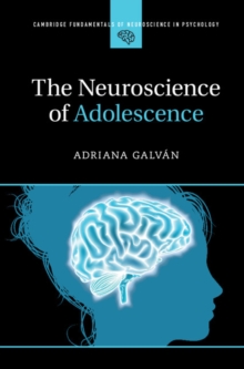Image for The Neuroscience of Adolescence