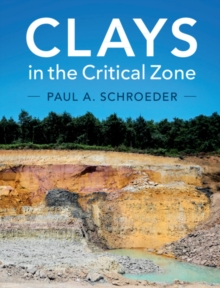Image for Clays in the critical zone