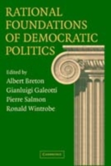Image for Rational foundations of democratic politics