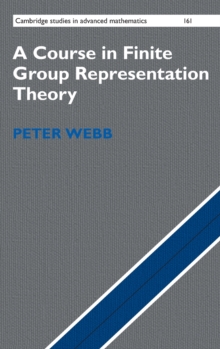 Course in Finite Group Representation Theory