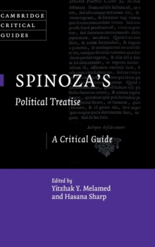 Image for Spinoza's Political Treatise
