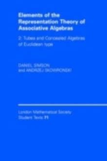 Image for Elements of the representation theory of associative algebras