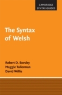 Image for The syntax of Welsh
