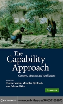 Image for The capability approach: concepts, measures and applications