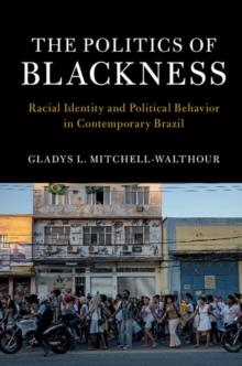 Image for The Politics of Blackness